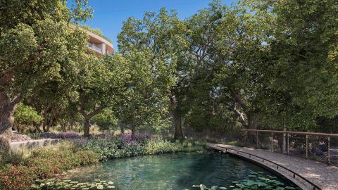 One Beverly Hills Gardens Pond