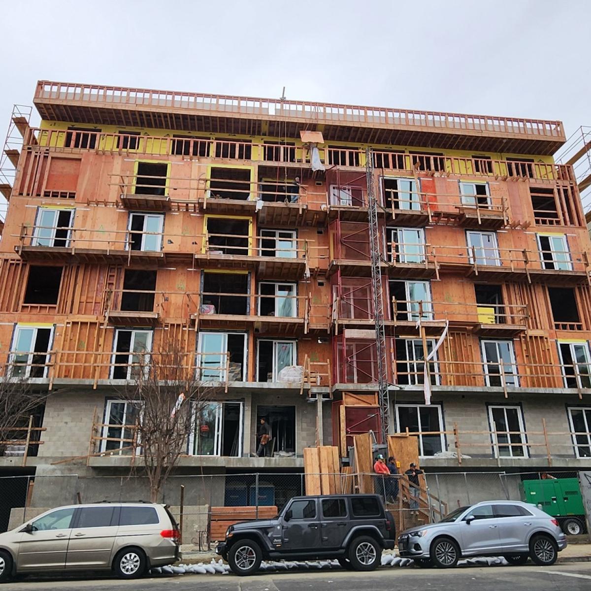 the Apartment別注 NEWERA 7 5/8 60.6 この後20:00です | the Apartment