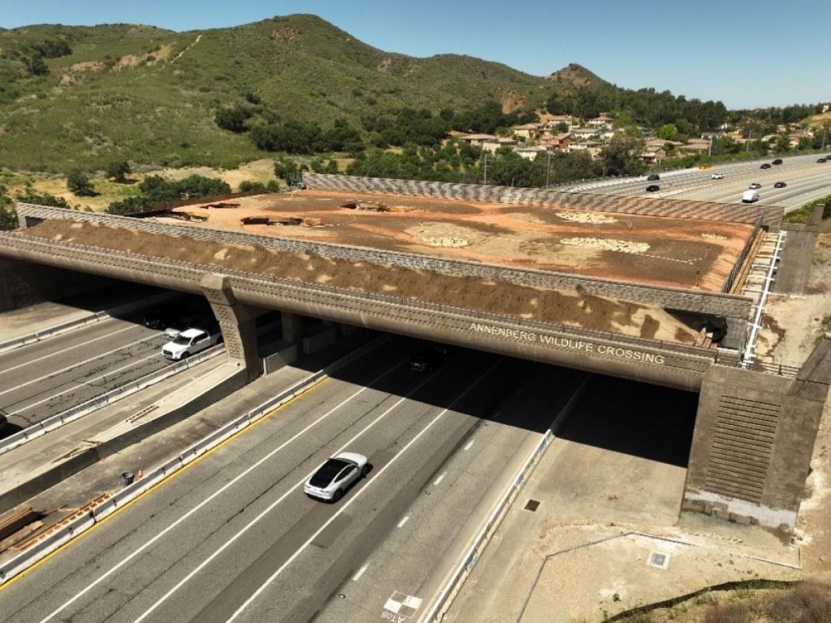 Final phase of construction begins for Wallis Annenberg Wildlife